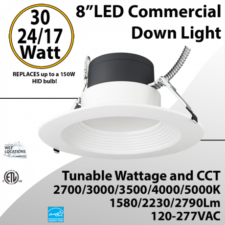 LED Commercial Downlight 8"