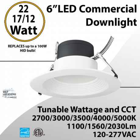 LED Commercial Downlight 6" 12/17/22W 2030Lm