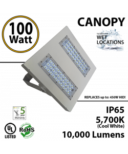 100W LED Canopy Light Ceiling Mount: 5500K 10000 Lm UL IP65