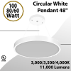 Led Circular Pendant White 48"
