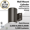 LED Wall Mount Cylinder Light 38/31/19W 3CCT 5500Lm Photocell Emergency