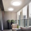 Flush Mount Light
