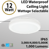 12W LED Waterproof Ceiling Light