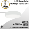 Round 18-24-30W Selectable LED Down Light 