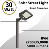 Solar Street Light 30W